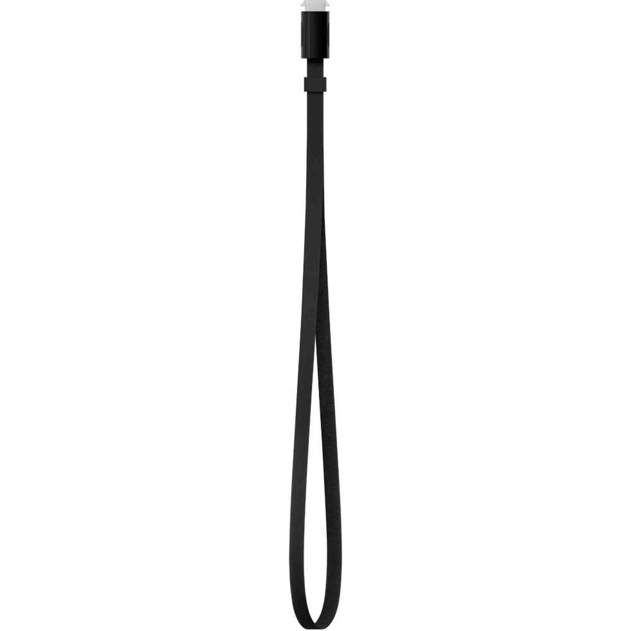 Apple TV Remote Loop Apple