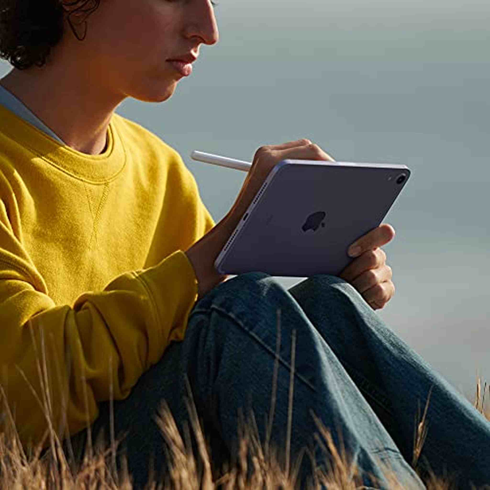 Apple iPad Mini Wi-Fi + Cellular, 64GB - Space Gray Apple