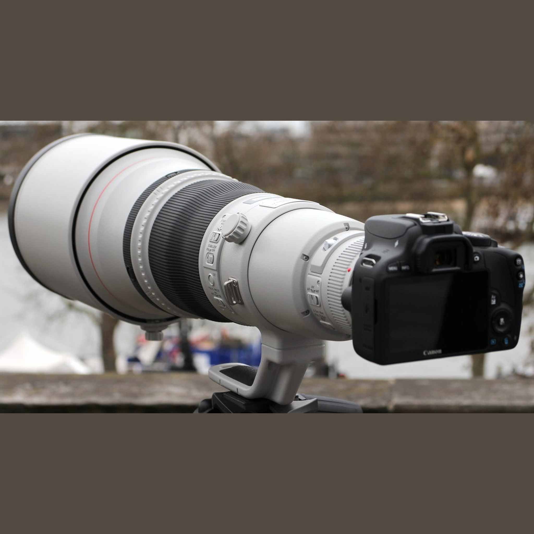 Canon EF 600mm f/4L IS III USM Lens Backpack Bundle Canon