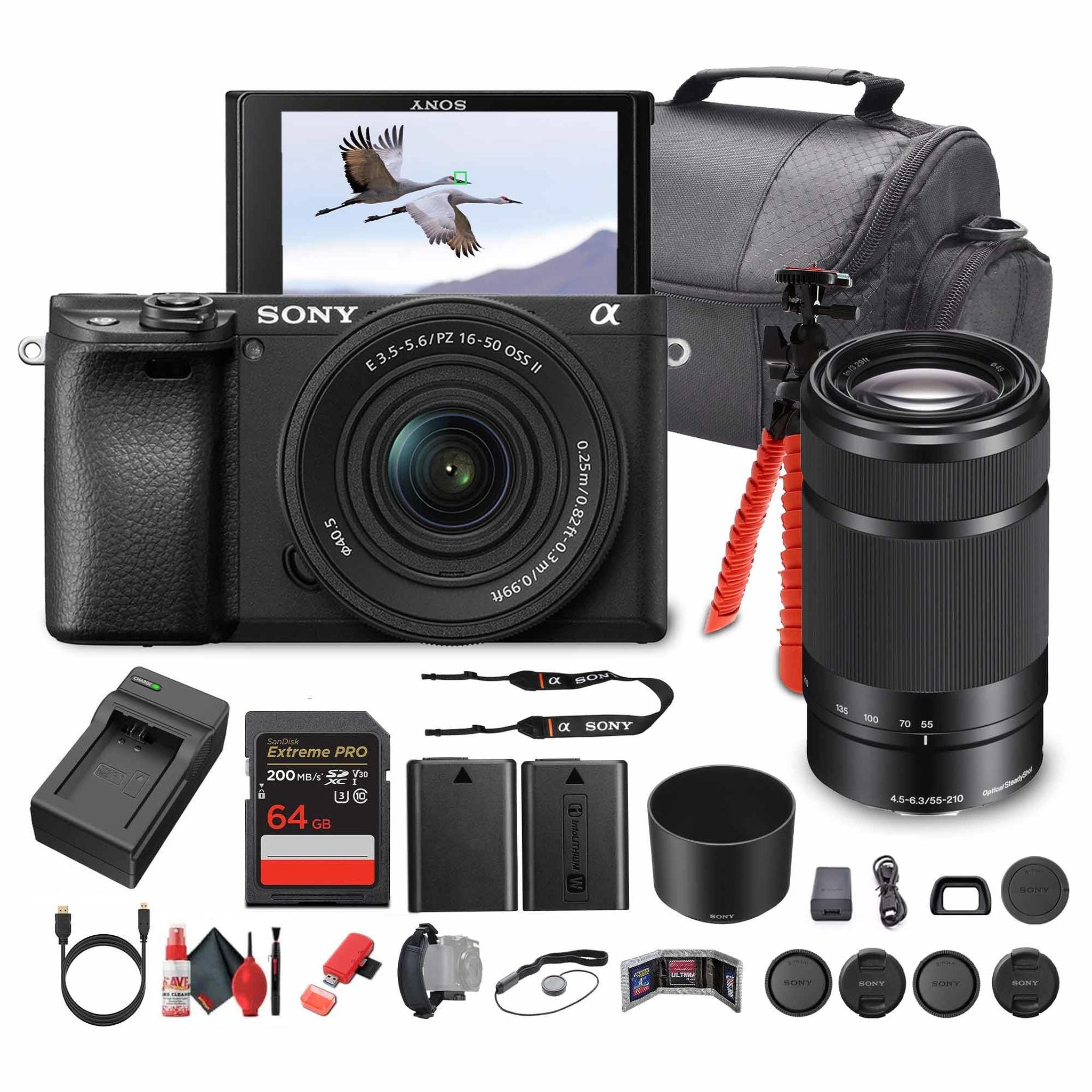 Sony Alpha a6100 Mirrorless Camera with 16-50mm OSS II and 55-210mm Zoom Lenses - Bundle Sony